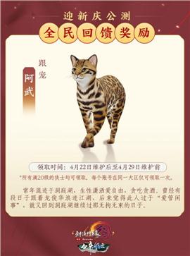 宠物 天龙八部私服